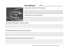 Arbeitsblatt-Teichfrosch-3.pdf
